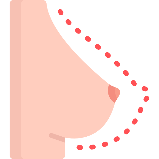 Reconstrucción de Busto